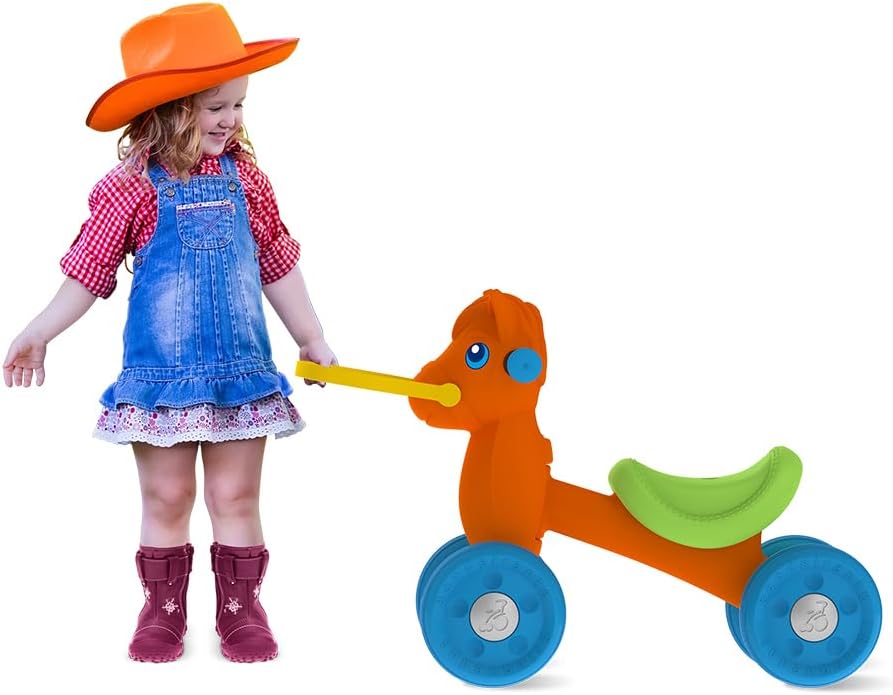 Baby Bike Ponei de Equilibrio – Bandeirante - Image 5